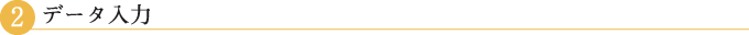 データ入力